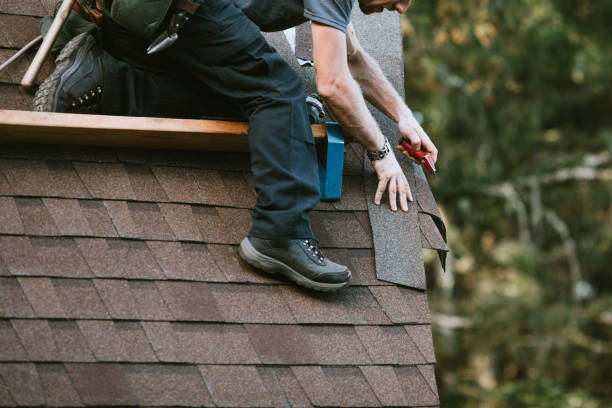 Roof Gutter Cleaning in Pine Level, AL